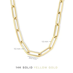 Isabel Bernard Aidee Odile 14 karaat gouden schakelketting Best