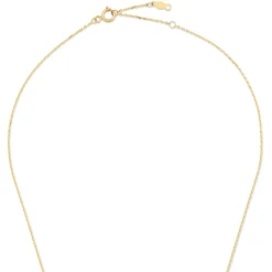 Isabel Bernard Belleville Amore 14 karaat gouden collier met hartje Hot
