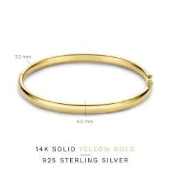 Isabel Bernard Cour d'Honneur Lucienne 14 karaat gouden bangle met ronde rand Outlet