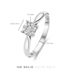 Isabel Bernard De la Paix Hanaé 14 karaat witgouden ring met diamant 0.14 karaat Hot