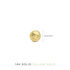 Isabel Bernard Rivoli Demi 14 karaat gouden oorknoppen met diamond cut Best